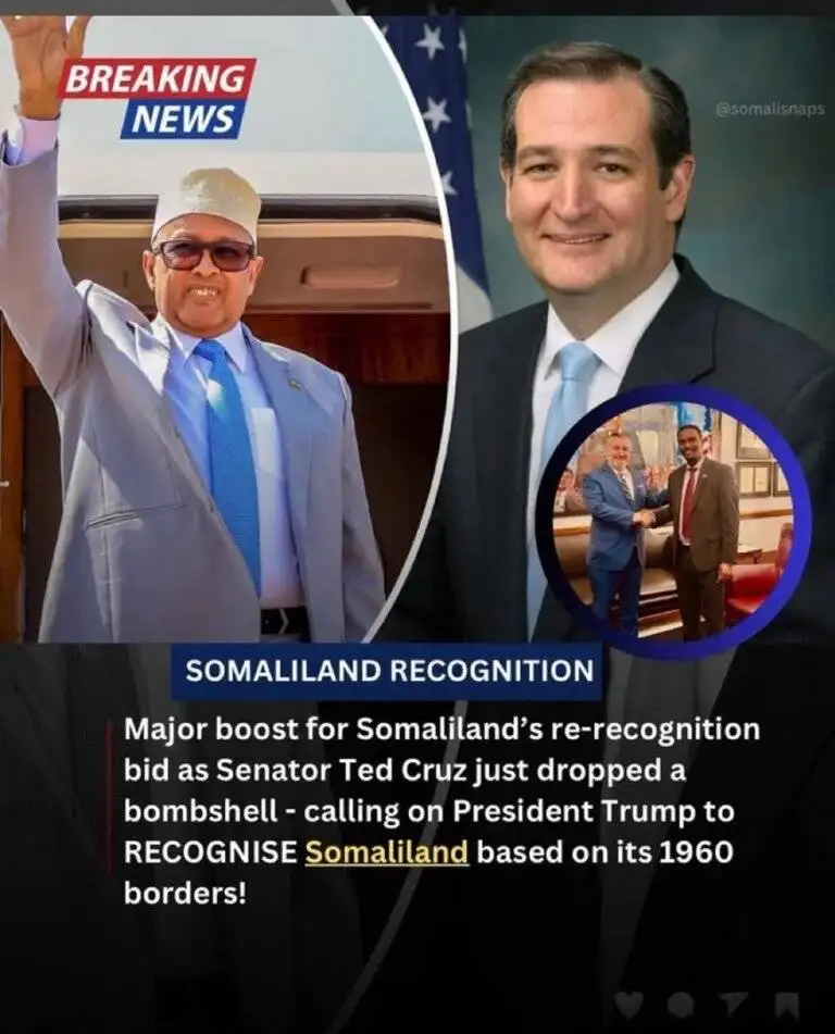 Thank You, Senator Ted Cruz