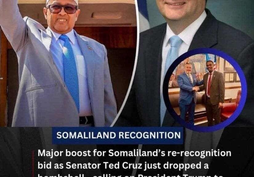 Thank You, Senator Ted Cruz