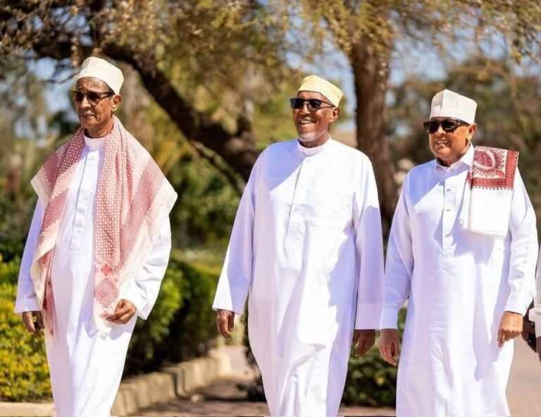 Why the House of Elders’ Decision to Postpone the Elections Is Justified 2 3 President's of Somaliland